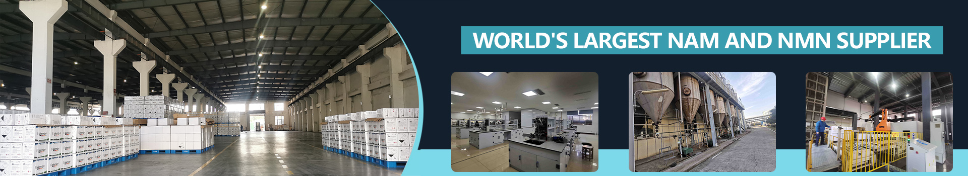 Long Life Group Co., LTD